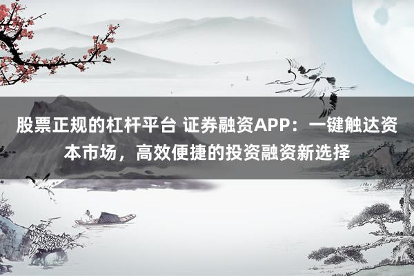 股票正規的杠桿平臺 證券融資APP：一鍵觸達資本市場，高效便捷的投資融資新選擇