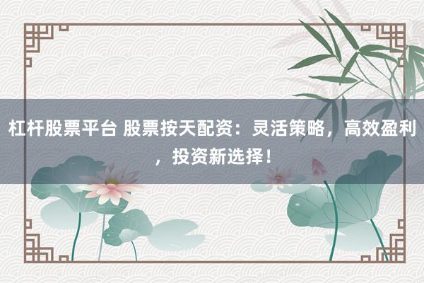 杠桿股票平臺 股票按天配資：靈活策略，高效盈利，投資新選擇！